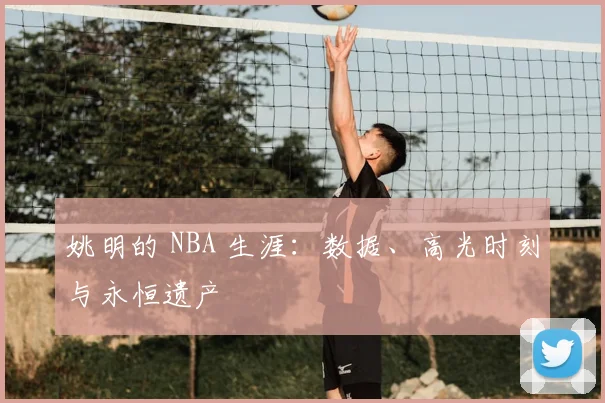 姚明的 NBA 生涯：数据、高光时刻与永恒遗产